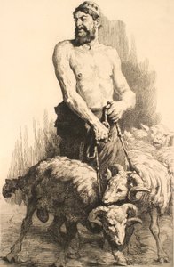 Der Hirte mit den Widdern