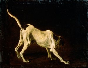 Ein Hund, 17. Jahrhundert