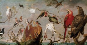 Vogelkonzert von Frans Snyders