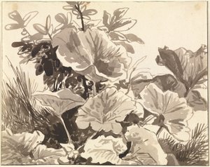 Studie von Huflattichblättern von Franz Innocenz Kobell
