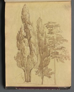 Album mit Ansichten von Rom und Umgebung, Landschaftsstudien, Seite 15a: Bäume