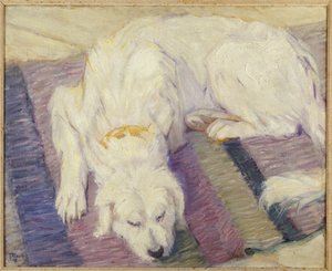 Schlafender Hund, 1909