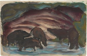 Wildschweine am Wasser