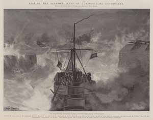 Testen der Seetüchtigkeit von Torpedoboot-Zerstörern