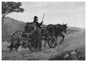 Ein Colac-Kaninchenfänger, 1886