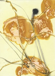 Organische goldene Waschungen