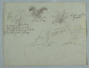 Bambus, Weinrebe und eine junge Palme, Pflanze, und zwei Szenen von Regen, der aus Wolken über Bergrücken fällt, Rio Magdalena, Kolumbien von Frederic Edwin Church