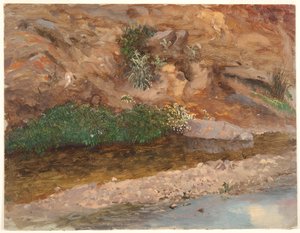 Ufer eines Baches von Frederic Edwin Church