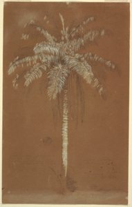 Abaye-Palme, Mt. Salus, Jamaika von Frederic Edwin Church