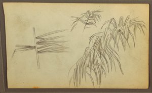 Botanische Skizzen, 1857