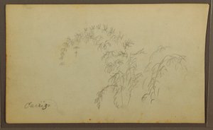 Zeichnung, Botanische Skizzen; Rückseite: Botanische Skizzen, 1857 von Frederic Edwin Church