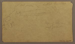 Zeichnung, Botanische Skizzen; Rückseite: Wolken, Juli 1865 von Frederic Edwin Church