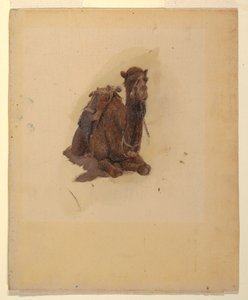 Kauernder Dromedar, 1868 von Frederic Edwin Church