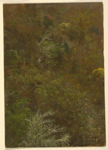 Hügel mit Büschen und Bäumen bedeckt, Juli 1865