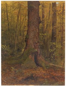 Im Wald, wahrscheinlich Maine, 1850–60 von Frederic Edwin Church