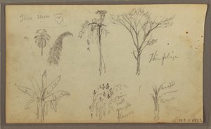 Zeichnung, Landschaft, Guayaquil, Ecuador, 21. Mai 1857