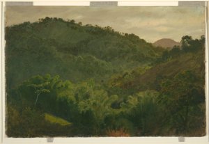 Landschaft aus Jamaika, Westindische Inseln, 1865