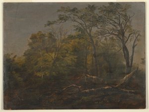 Zeichnung, Wälder von Maine, 1845-55 von Frederic Edwin Church