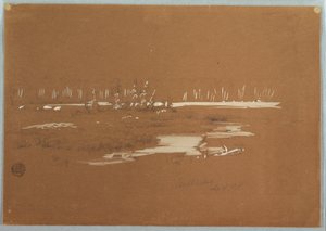 Zeichnung, Sumpfige Landschaft bei Millinocket, 20. September 1878