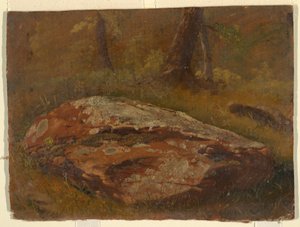 Moosiger Felsen