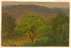 Zeichnung, Berglandschaft, August 1865 von Frederic Edwin Church