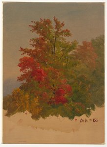 Zeichnung, Insel Mt. Desert?, Maine, Oktober 1860