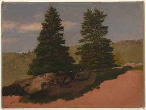 Zeichnung, Neuengland-Landschaft (Zwei Kiefern), 1850 von Frederic Edwin Church
