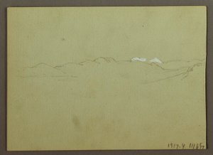 Pflanzen- und Landschaftsstudie von Frederic Edwin Church