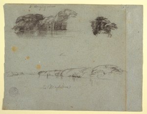 Skizzen von Bäumen, Reben und einem Ufer des Rio Magdalena, Kolumbien, 1853, wahrscheinlich Mai von Frederic Edwin Church