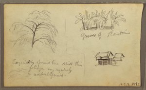 Zeichnung, Straßenecke in Guaquil, Ecuador; Verso: Botanische Skizzen, Haus, Ecuador oder Kolumbien, 1857 von Frederic Edwin Church
