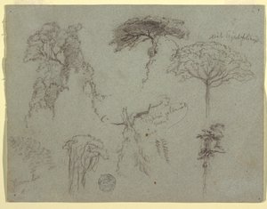 Studien von Bäumen, Ecuador, 1853 von Frederic Edwin Church
