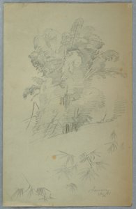Studien von Bäumen und Ästen, Jamaika, August 1865