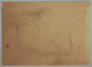 Studie von zwei Bäumen und drei Pflanzen, in der Nähe von Jorje, Ecuador, 23. Juli 1857 von Frederic Edwin Church