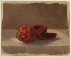 Die Pitajaya-Frucht, Kolumbien, Juni 1853 von Frederic Edwin Church