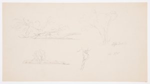Bäume, ein Ufer mit Büschen und Bäumen, September 1876 von Frederic Edwin Church