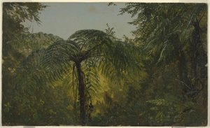 Tropische Landschaft, Juni oder Juli 1865 von Frederic Edwin Church