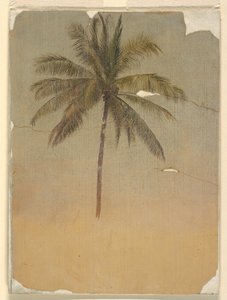 Stamm und Spitze einer Palme, 1865 von Frederic Edwin Church