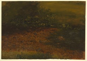 Zeichnung, Waldstrom in den Catskills, September 1848