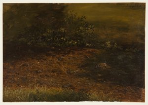 Zeichnung, Waldstrom in den Catskills, September 1848 von Frederic Edwin Church