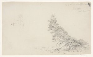 Immergrüner Baum in der Nähe des Ufers mit einem Detail des Leuchtturms und eines Hauses, Mount Desert, Maine