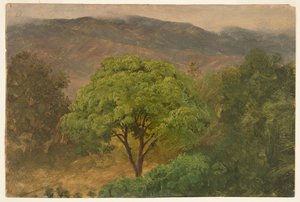 Genip-Baum in den Bergen, Jamaika von Frederic Edwin Church
