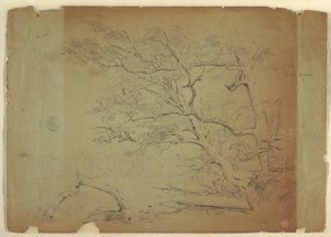 Landschaft mit Bäumen und einem Bach [?], Grand Manan Island, Kanada von Frederic Edwin Church