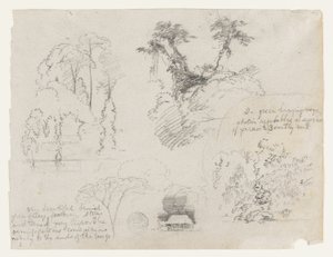Skizzen aus Südamerika, wahrscheinlich aus Kolumbien. Botanische Skizzen. Ein Haus. von Frederic Edwin Church