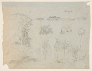Studie mit Baumwipfeln, Bäumen, fünf Pflanzendesigns und einer fernen Insel von Frederic Edwin Church