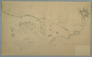 Bewaldetes Tal mit einem großen Farn und fernen Bergketten, Jamaika von Frederic Edwin Church