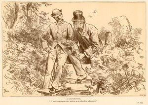 Eine Großmutter von Frederick Barnard