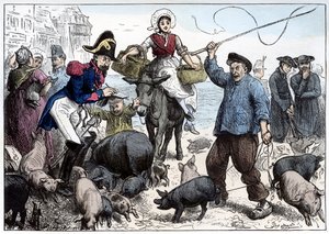 Schweinemarkt, Boulogne
