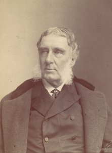 [Mann mit Koteletten], 1870er-80er von Frederick Gutekunst