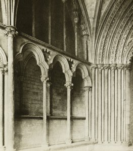 Ely Cathedral: Galilee Porch, Details von Frederick H. Evans