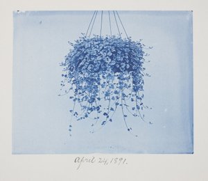 Ohne Titel, 24. April